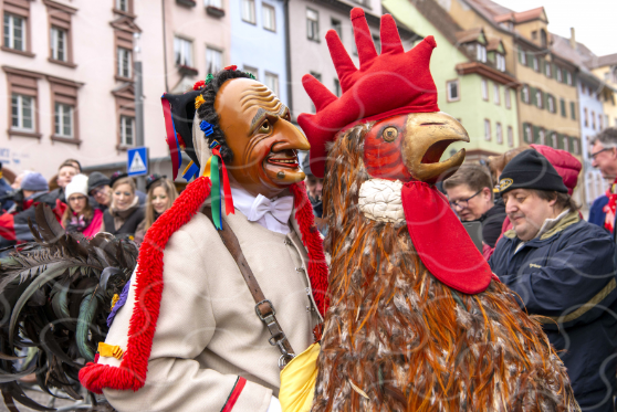 „Schiermaiers Guller“ tritt als Einzelfigur im Narrensprung auf