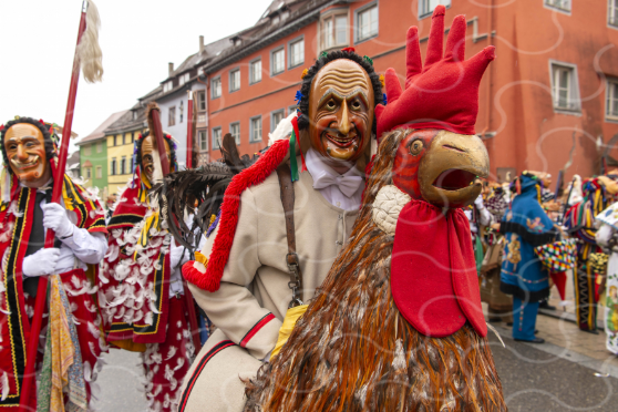 „Schiermaiers Guller“ tritt als Einzelfigur im Narrensprung auf